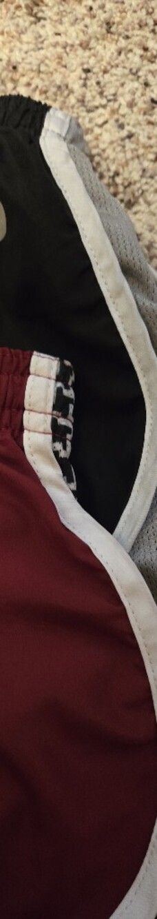 Soffe Women's Maroon and Black Athletic Shorts Lined Lot M - Picture 4 of 4